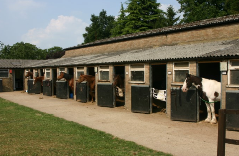 GBEC_livery1 Great Bookham Equestrian Center