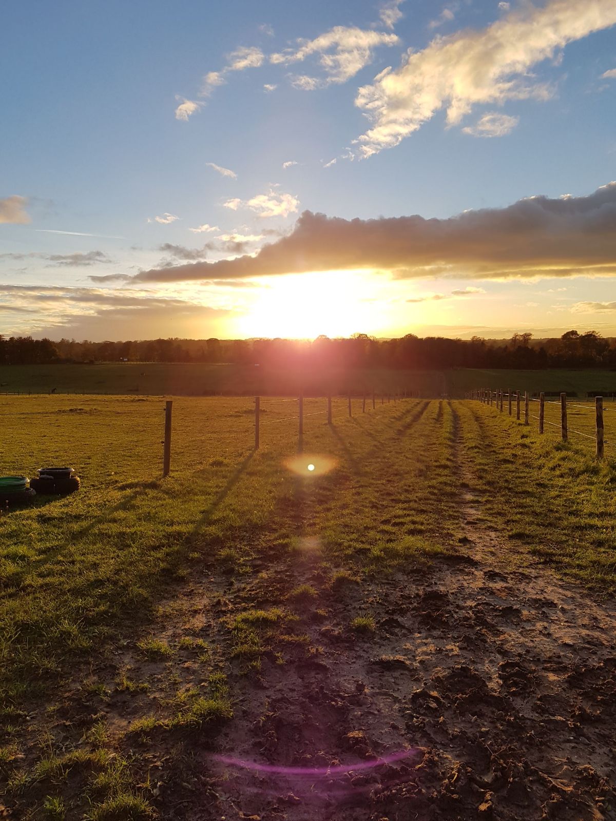 Livery Great Bookham Equestrian Center