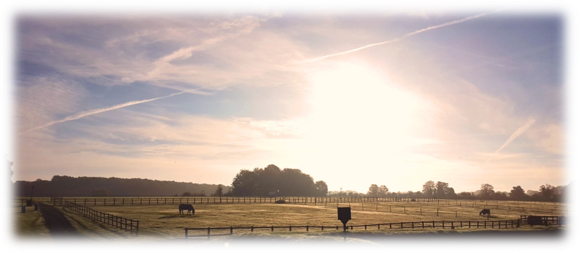 Livery Great Bookham Equestrian Center