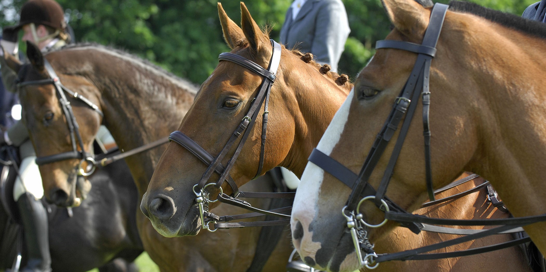 Great Bookham Equestrian Center